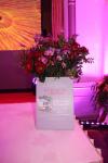IMG_3566.JPG - 