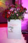IMG_3567.JPG - 