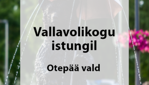 Vallavolikogu istungil